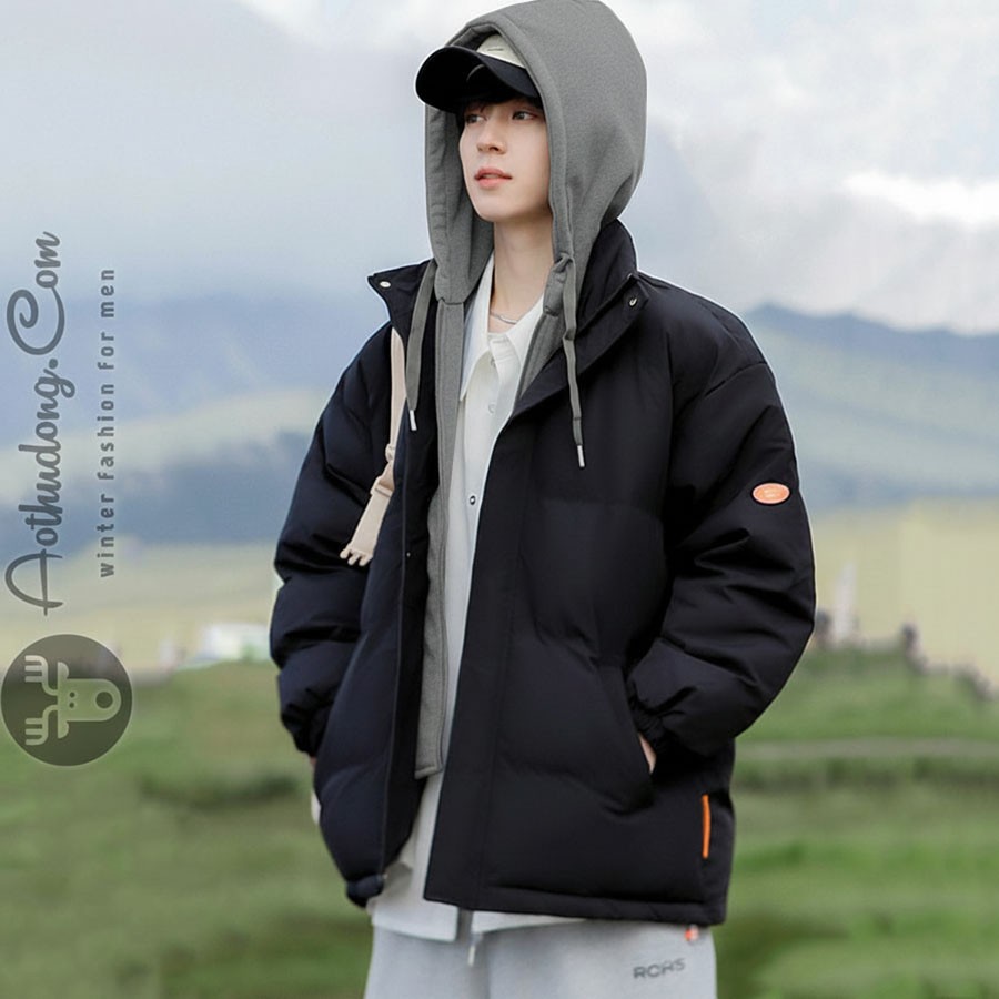 Áo khoác phao hoodies trẻ cao cấp - Ảnh 0